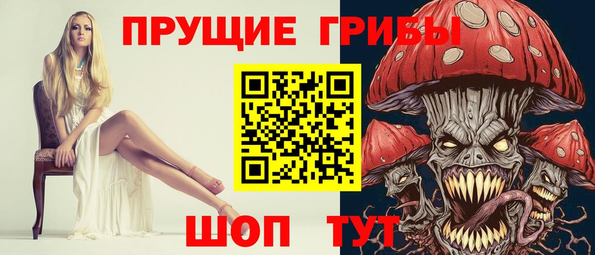 Галлюциногенные грибы прущие грибы Электрогорск
