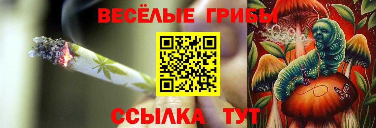 Галлюциногенные грибы Psilocybe  Псилоцибиновые грибы мицелий  Вход с VPN  что такое   Электрогорск 